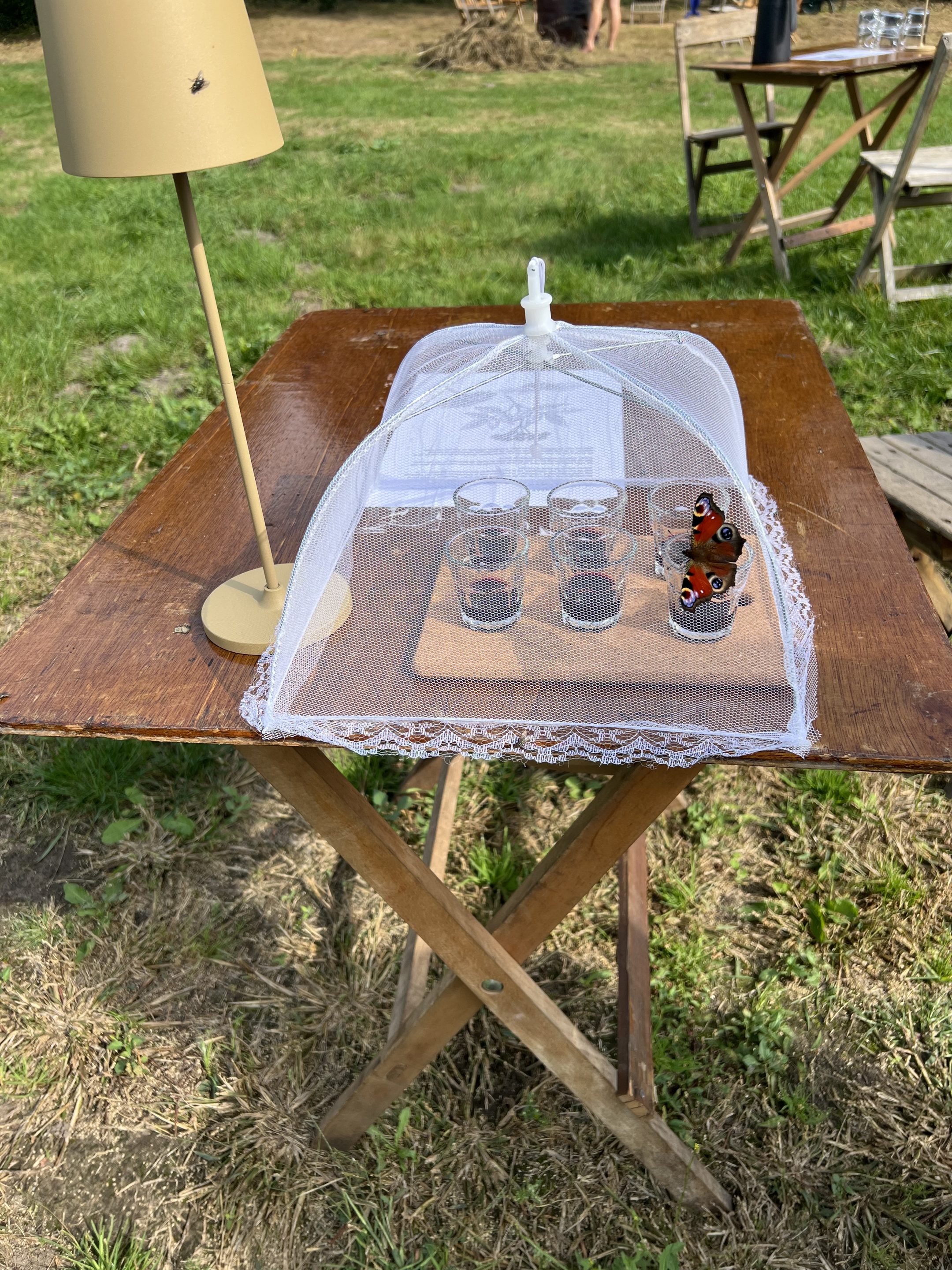 Fete de la nature