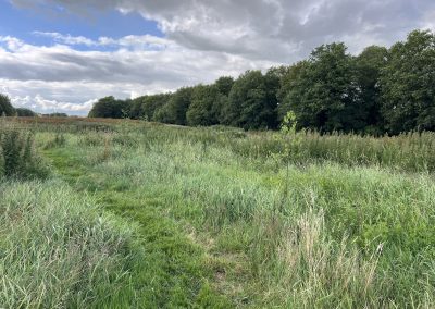 vergaderlocatie in de natuur